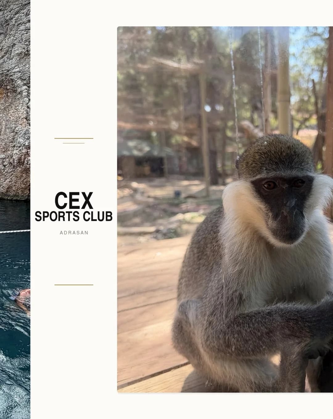 CEX Camp — kare 2